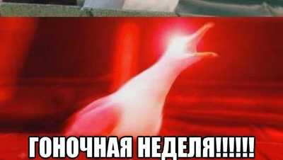 Мы дожили